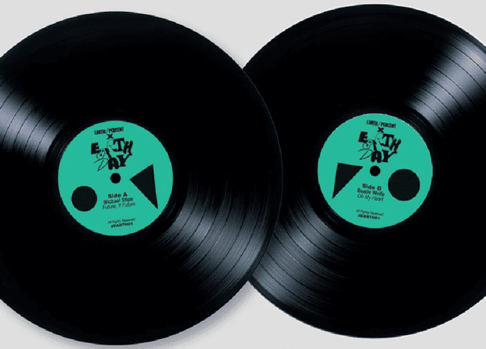 vinil-vegetal-3-695x500.png