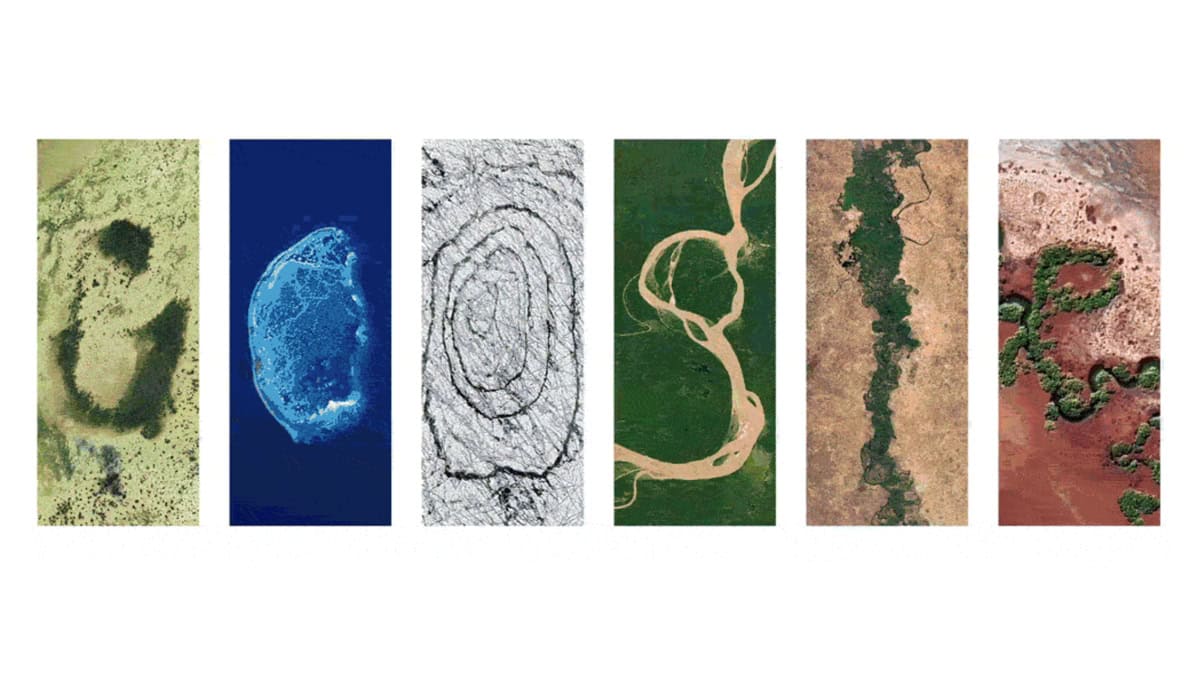 Captura de tela de doodle do Google em homenagem ao Dia da Terra