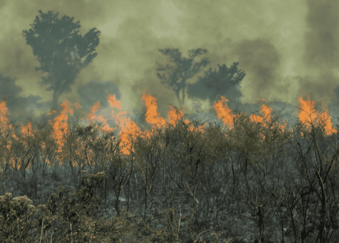 Queimada na Amazônia