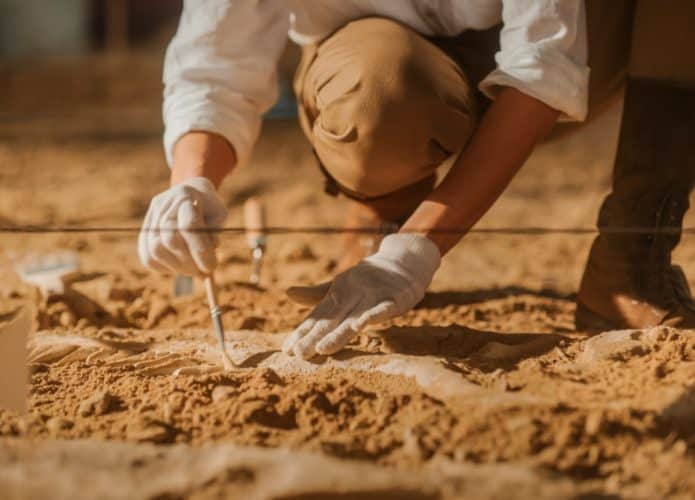 Rara vesícula biliar de porcelana é encontrada em sepultura centenária