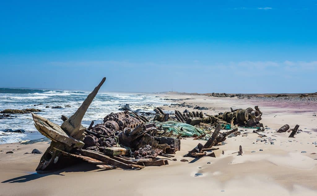 Costa dos Esqueletos: uma história de terror e vida selvagem