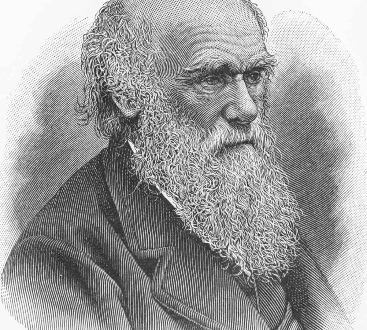 darwin-1-1200x1080
