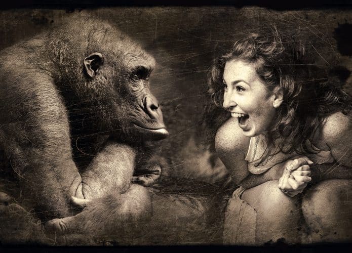 Os macacos têm senso de humor semelhante ao dos humanos