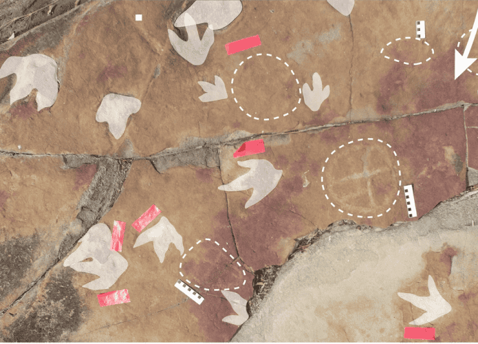 pegadas-dinossauros-695x500.png