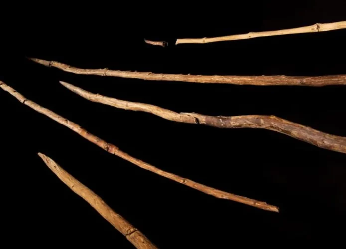 Ferramentas de madeira encontrada na Alemanha revelam informações sobre os neandertais que viveram há 300 mil anos (Crédito: Niedersächsisches Landesamt für Denkmalpflege (NLD))