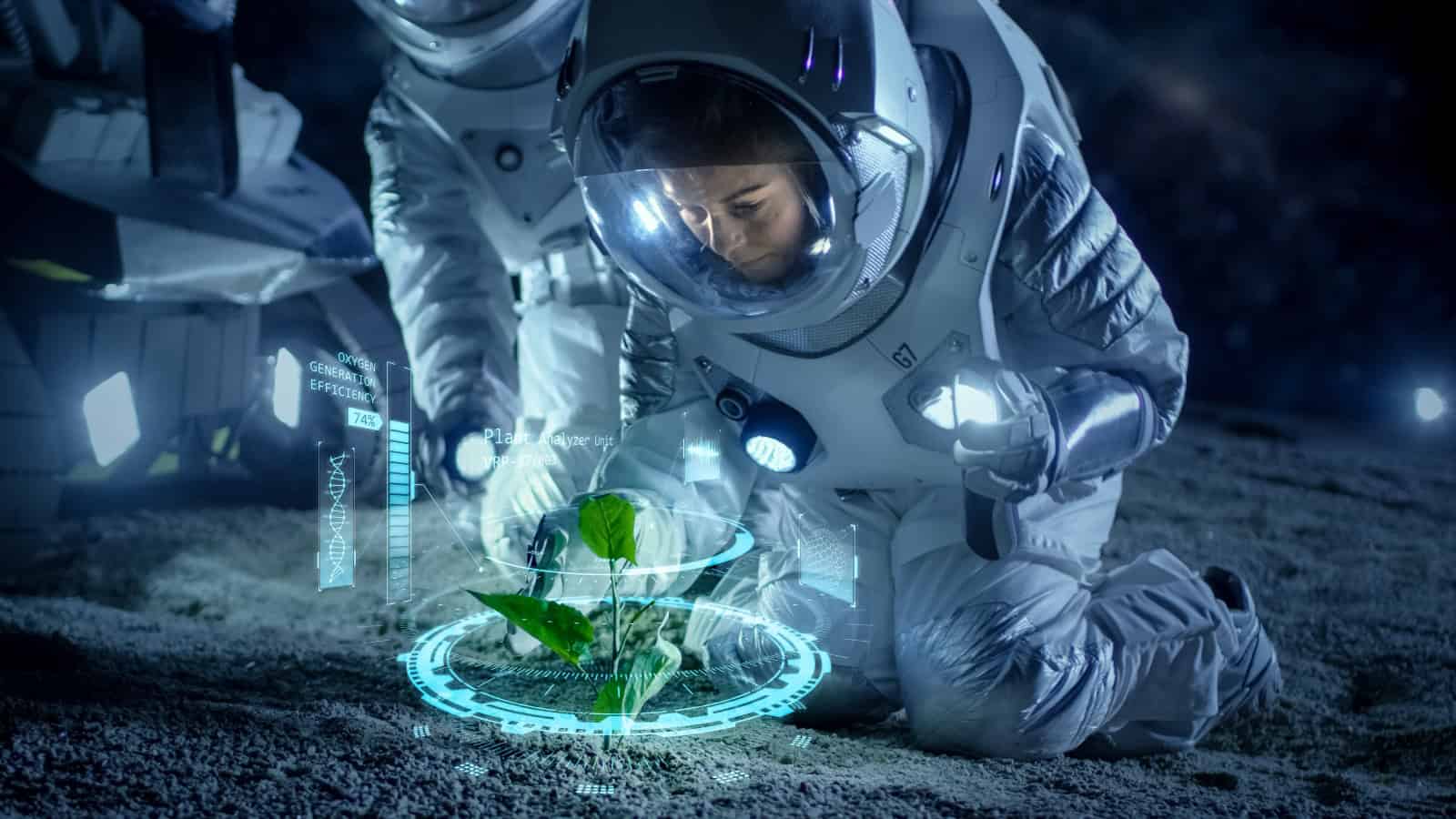 Plantas podem crescer em 