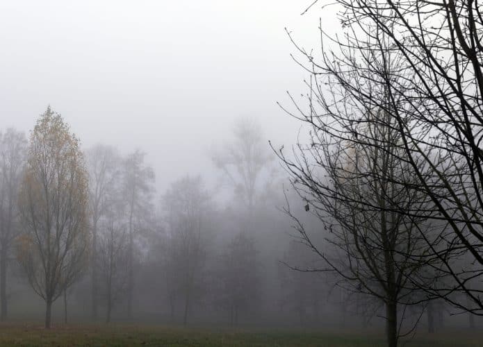frio