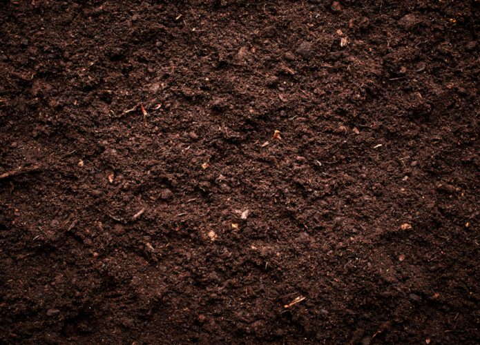 Trilhões de toneladas de carbono presentes no solo estão sendo negligenciadas pelos modelos ambientais (Crédito: Nik Merkulov/ shutterstock)