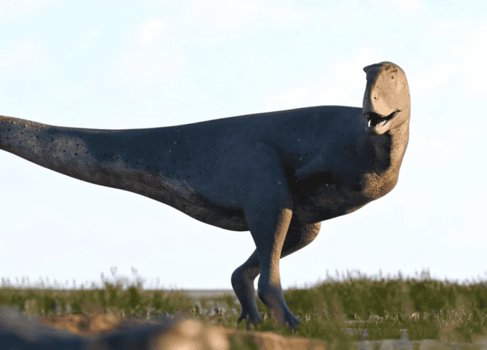 Novo dinossauro
