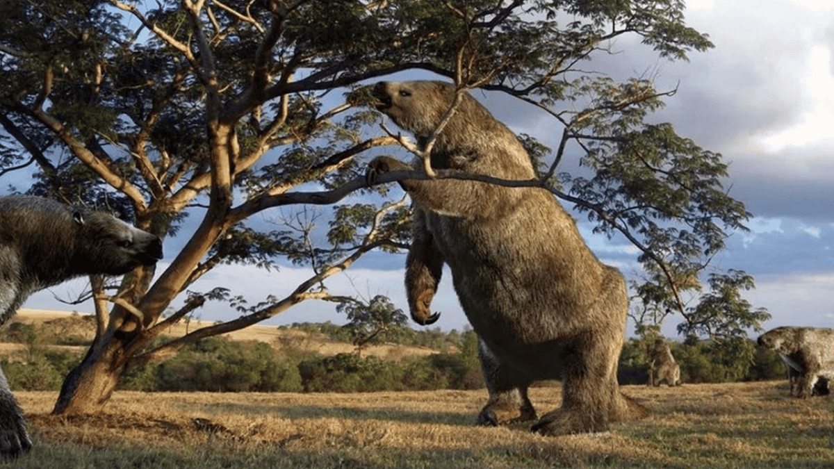Preguica-gigante-Eremotherium-laurillardi.png