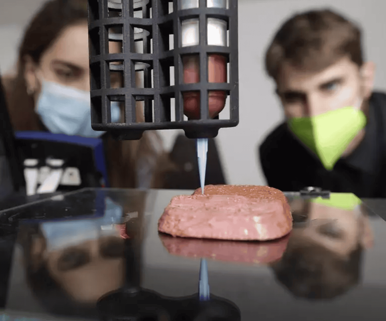 alimentos-1-1300x1080.png