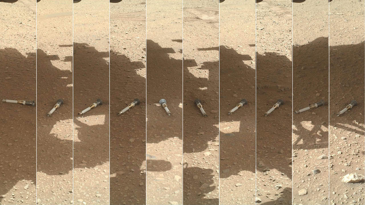 Podemos trazer organismos desconhecidos de Marte para a Terra?