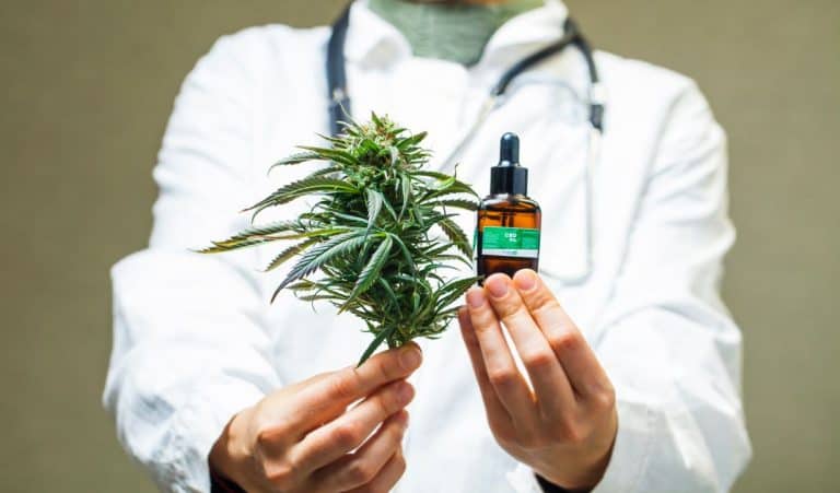 O que é cannabis medicinal e para que serve? - Olhar Digital