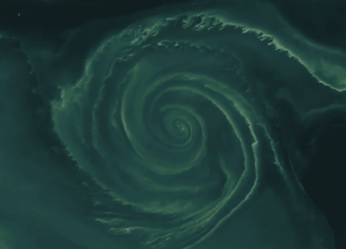 redemoinho-algas-1-695x500.png