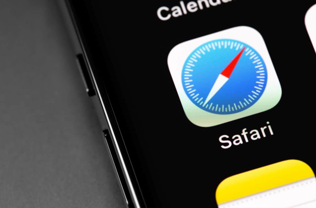 safari
