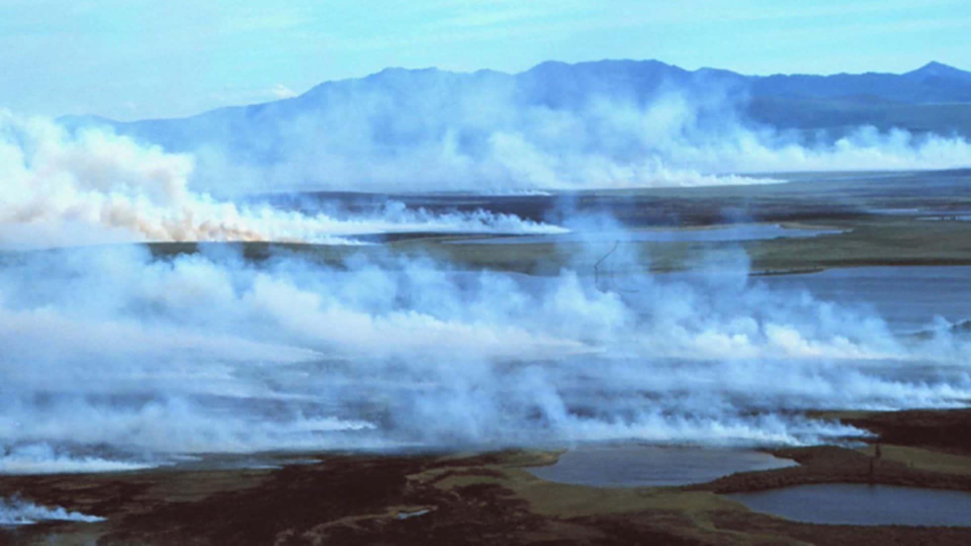 Incêndio zumbi (Crédito: Parques Nacionais do Ártico Ocidental/flickr/CC-BY-SA 2.0)