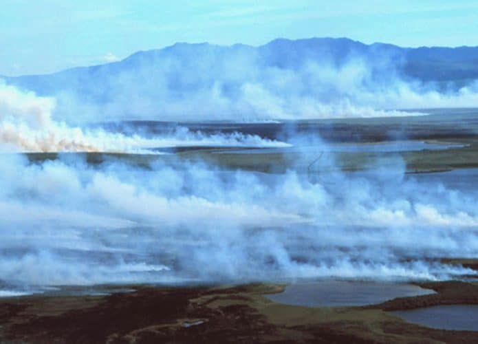 Incêndio zumbi (Crédito: Parques Nacionais do Ártico Ocidental/flickr/CC-BY-SA 2.0)