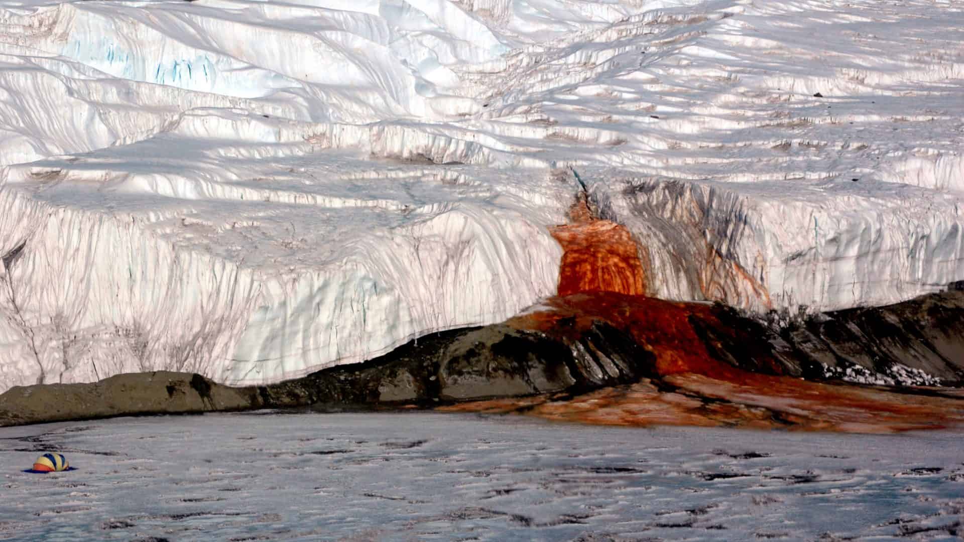 Blood_FallS-1920x1080