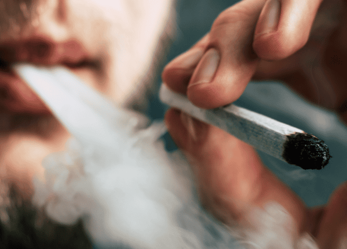 Cannabis-maconha-695x500.png