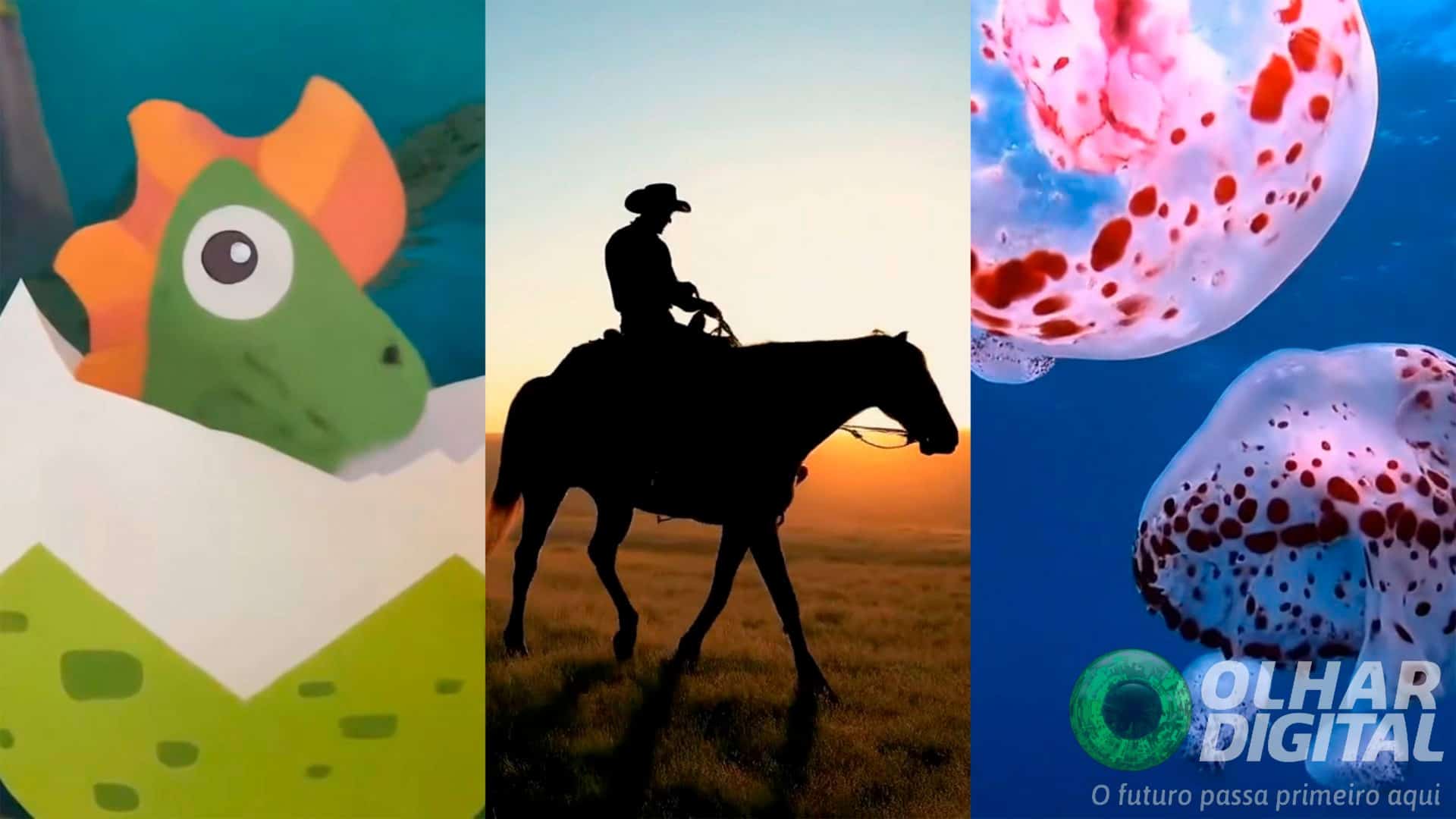 Montagem com cenas de vídeos criados com IA do Google que ganharam paisagem sonora também criada com IA do Google