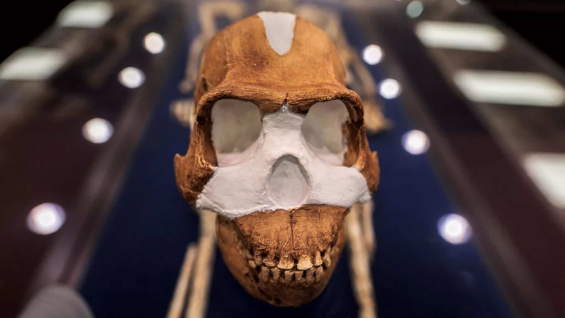 HOMO-NALEDI-1920x1080