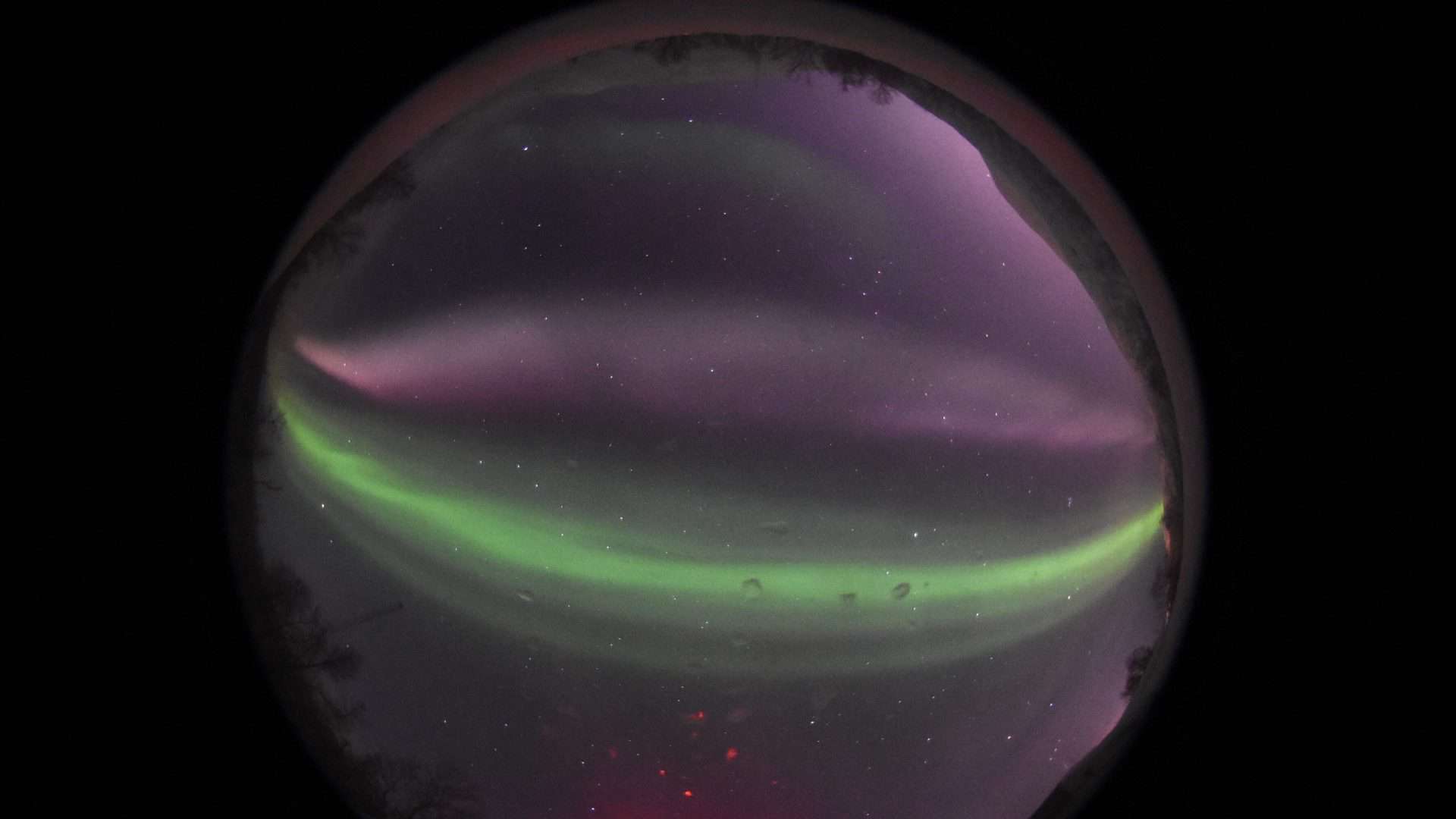 Steve_s_twin_captured_by_an_all--1920x1080