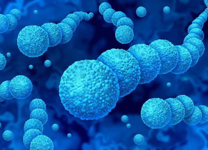 Streptococcus-1-695x500