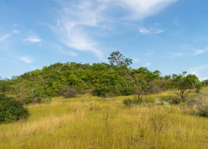 Região brasileira pode se tornar (quase) um deserto em breve