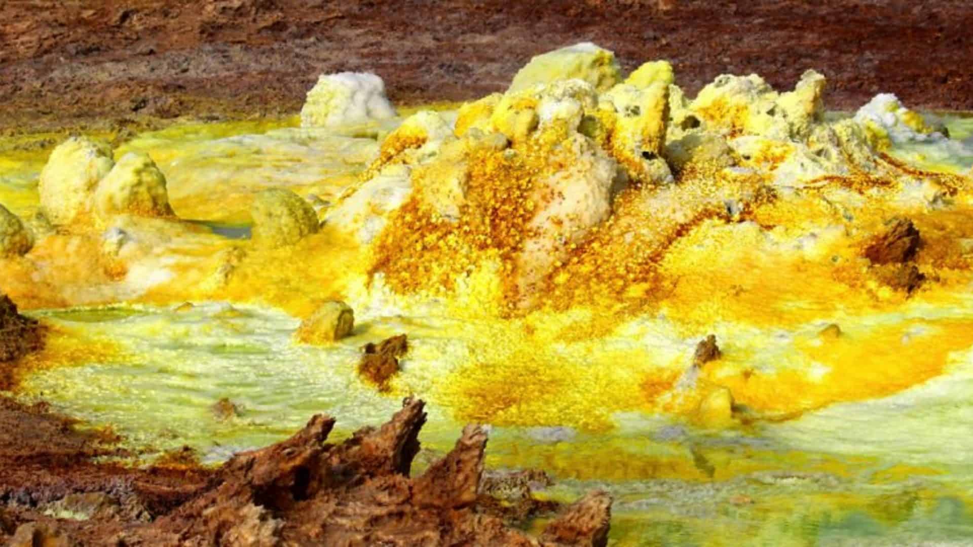 archaea-1920x1080