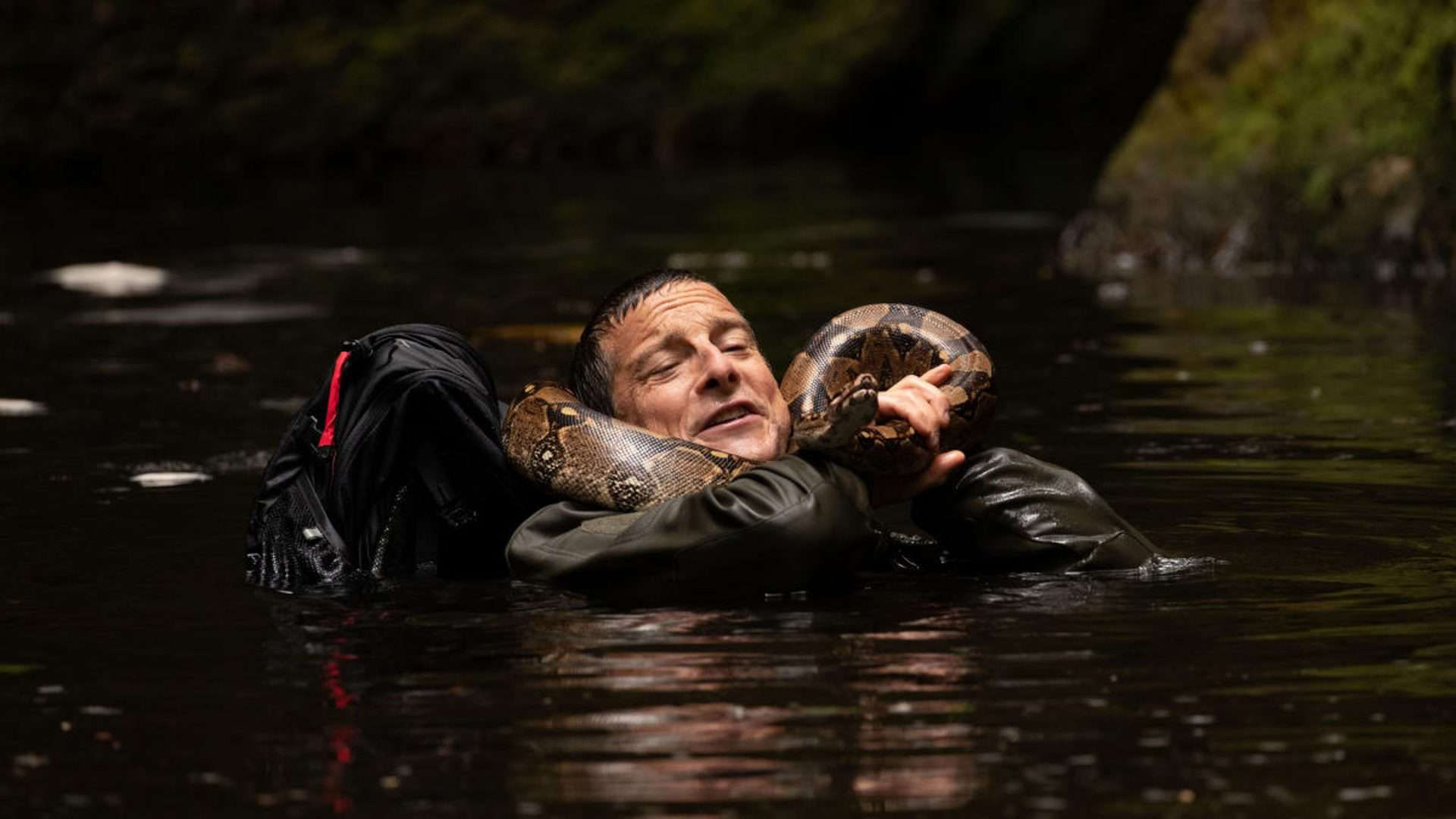 Bear Grylls