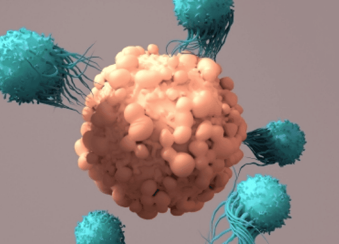 Representação de artística de células CAR-T atacando célula cancerígena