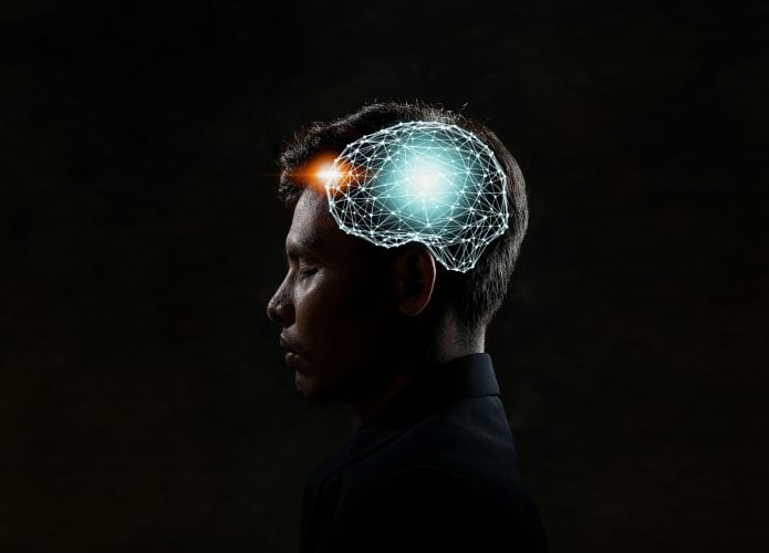 cerebro-695x500