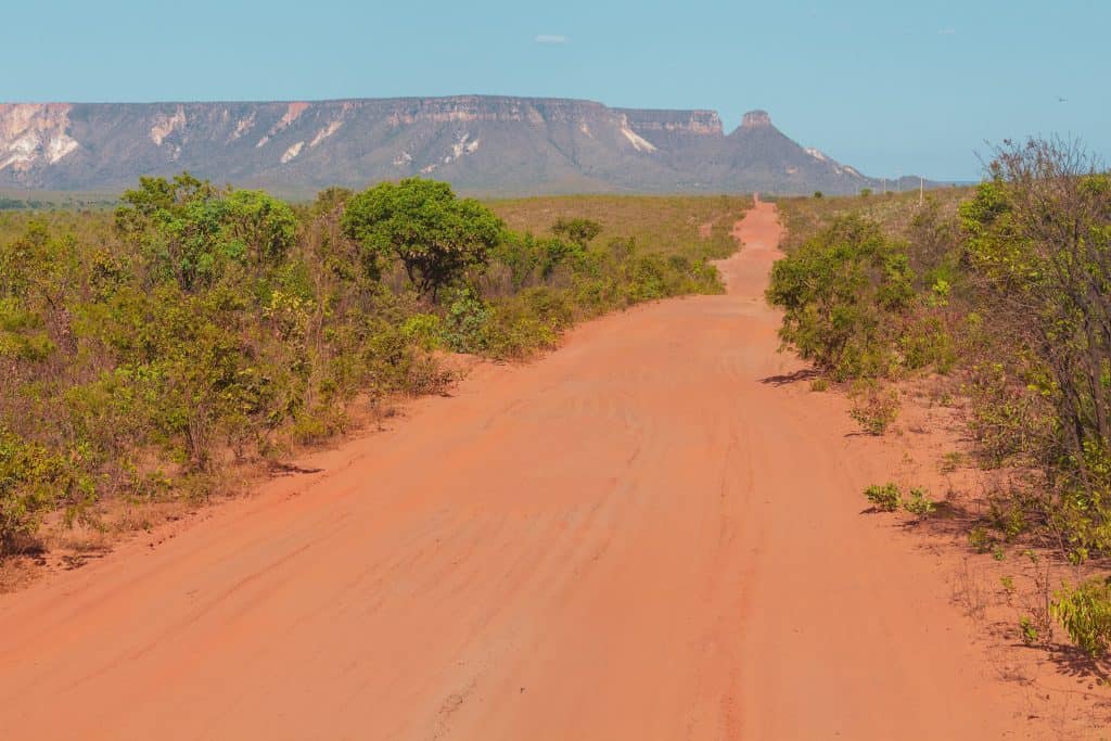 Imagem mostra uma estrada de terra com vegetação rasteira do Cerrado ao redor