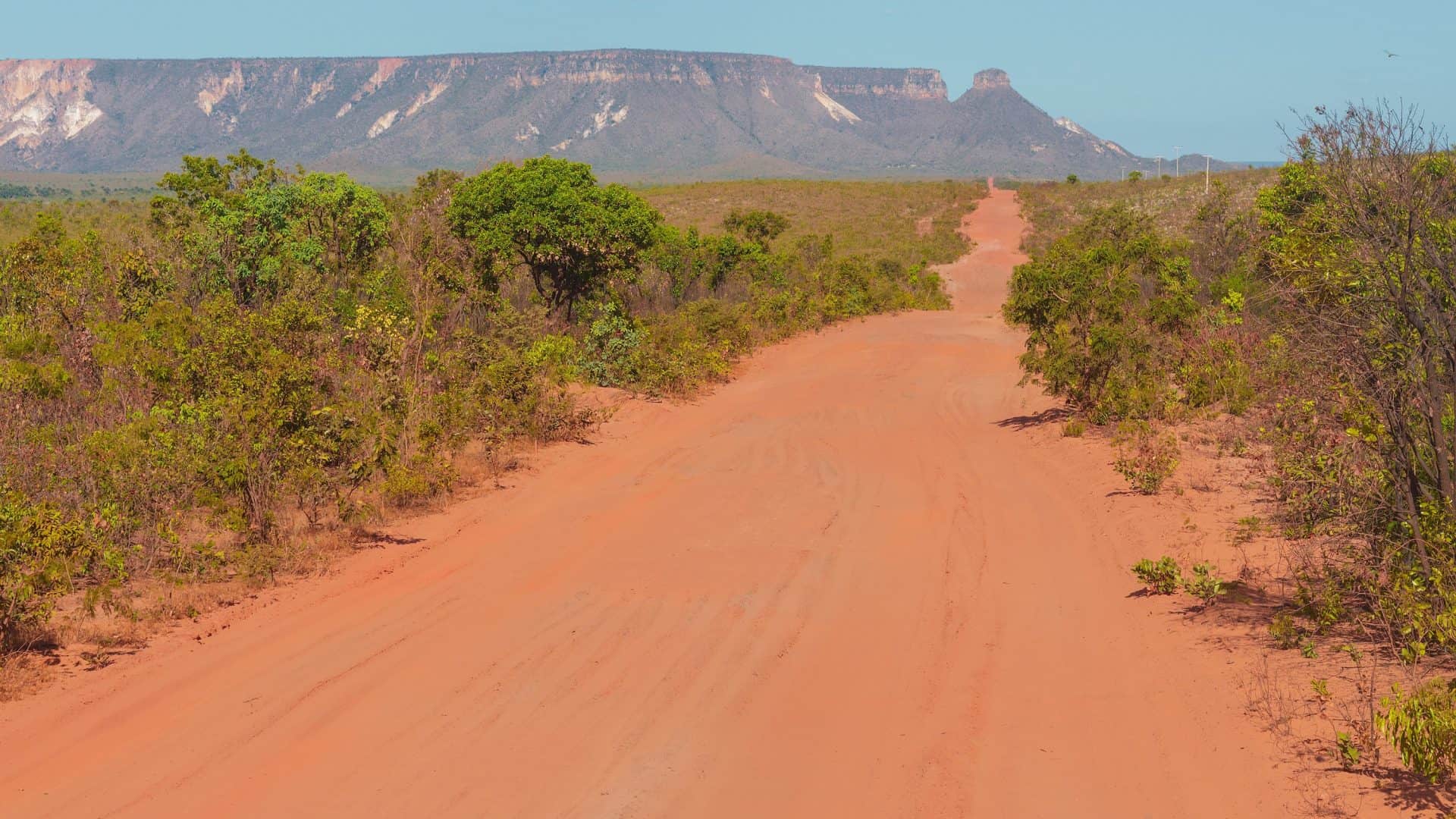 Imagem mostra uma estrada de terra com vegetação rasteira do Cerrado ao redor