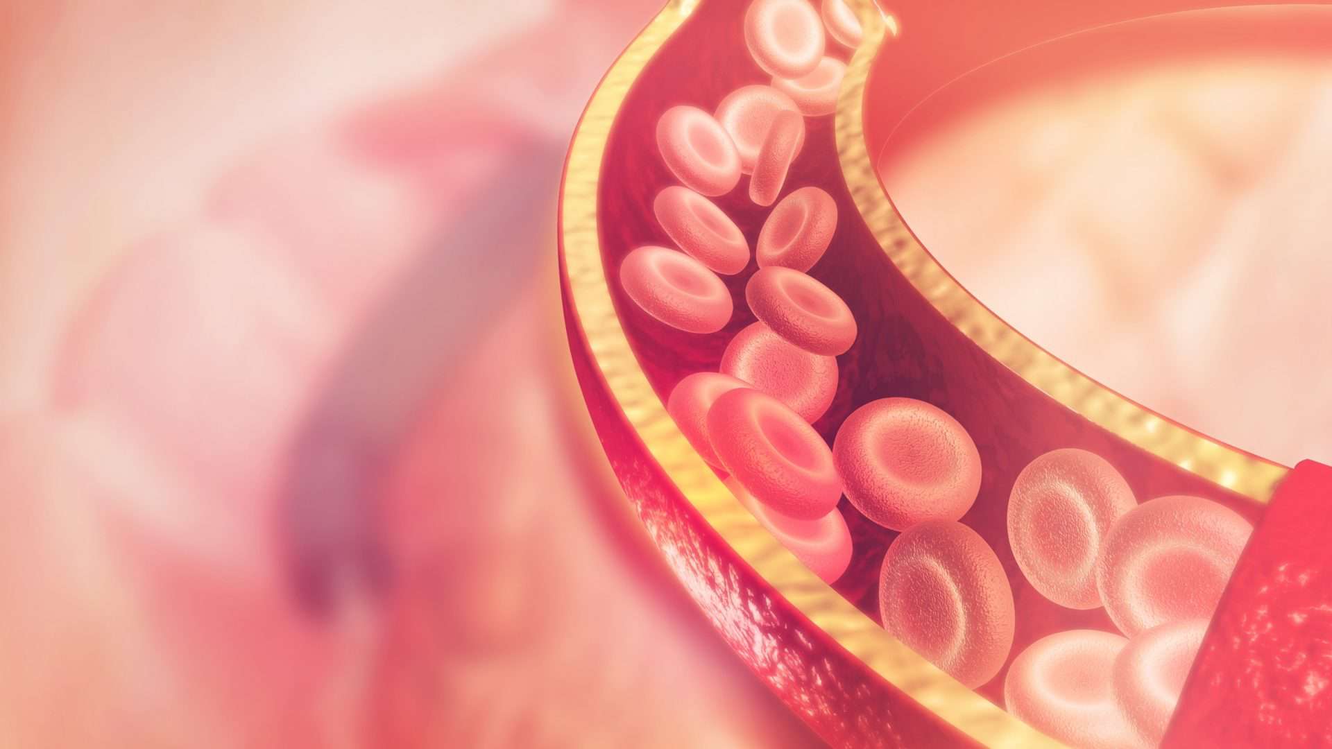 corrente-sanguinea-1920x1080