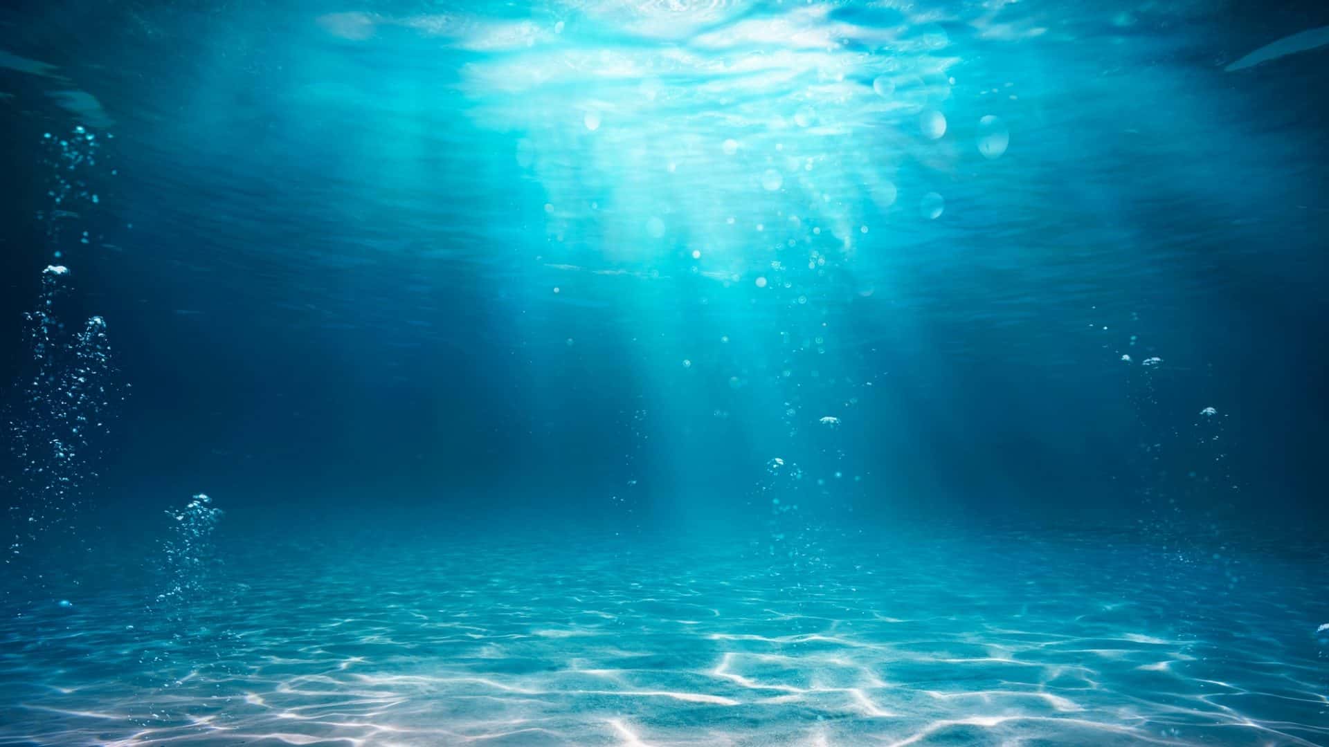 fundo-do-mar-1-1920x1080