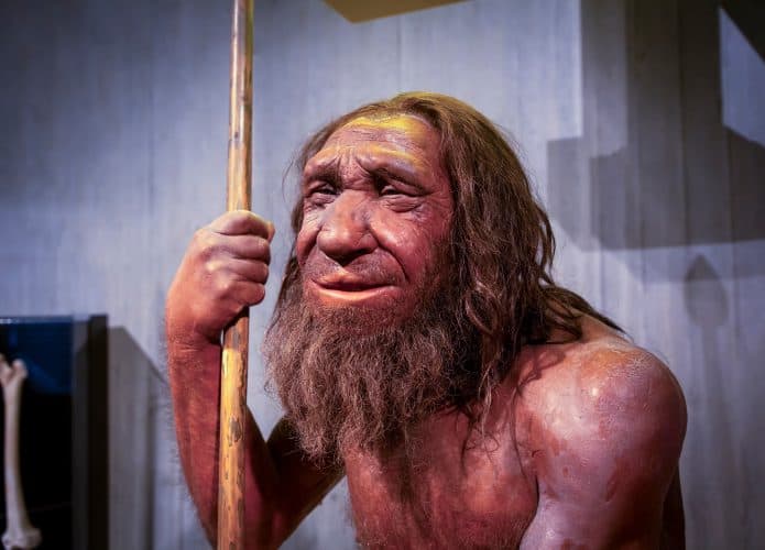 neandertal