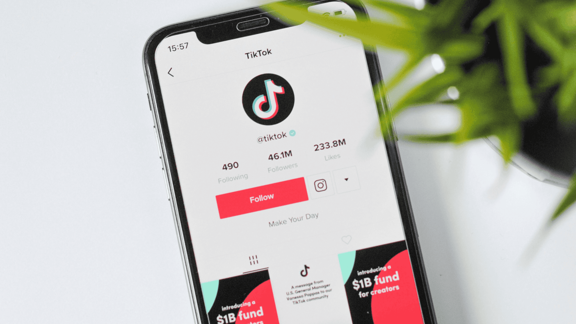 tiktok perfil