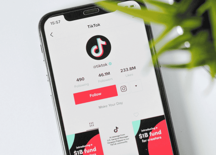 tiktok perfil