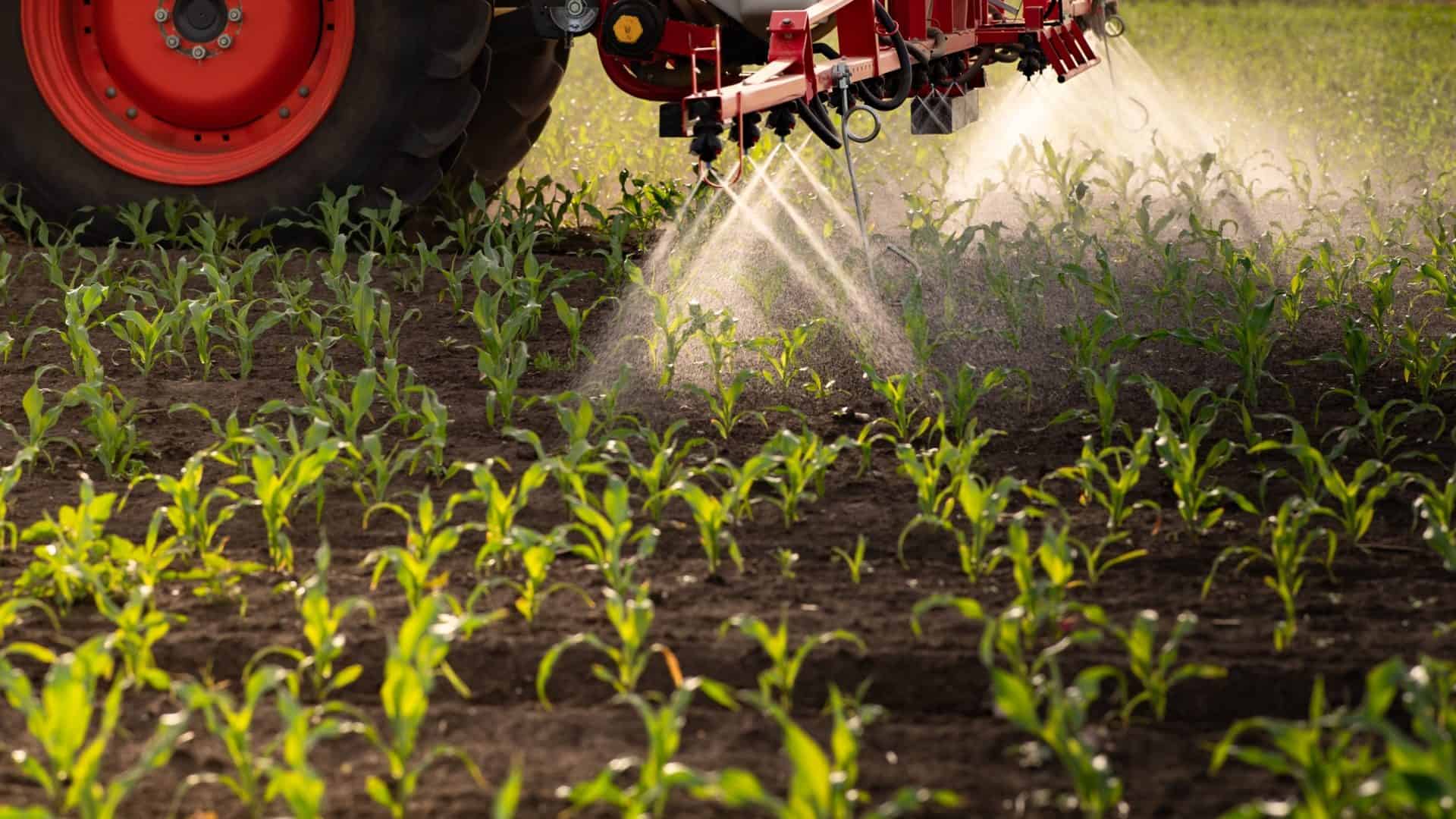 agrotoxicos, campo, agronegócio