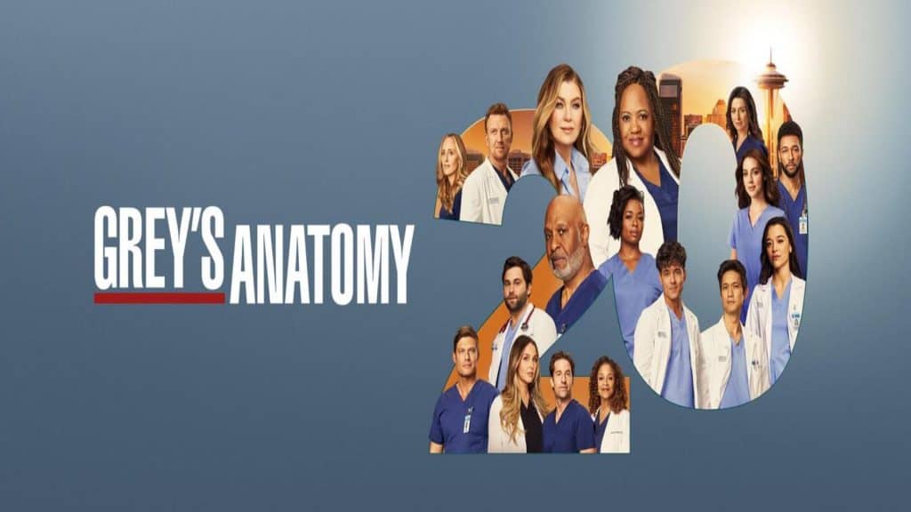 capa de divulgação de Grey's Anatomy 20 ª temporada