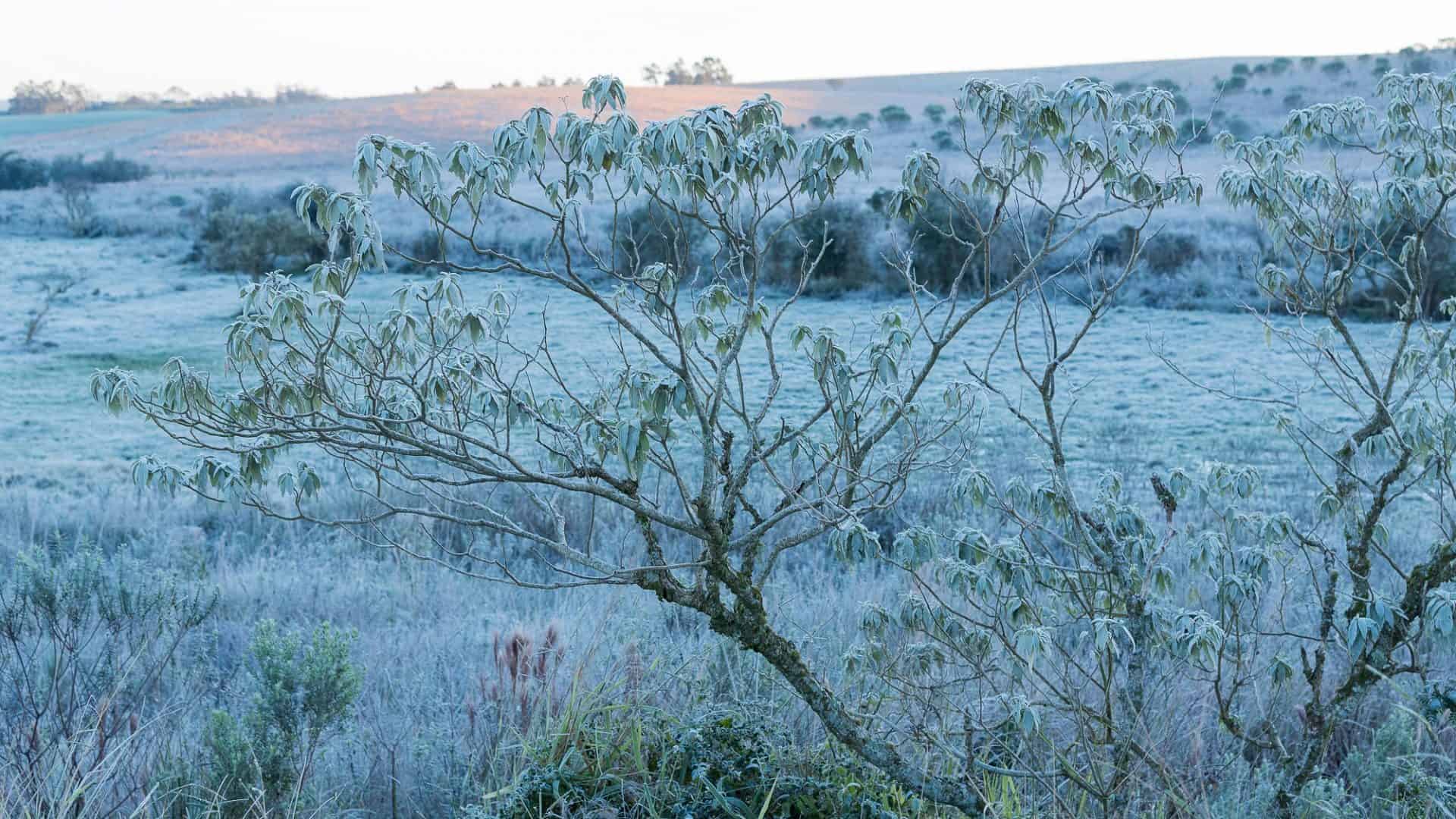 onda de frio