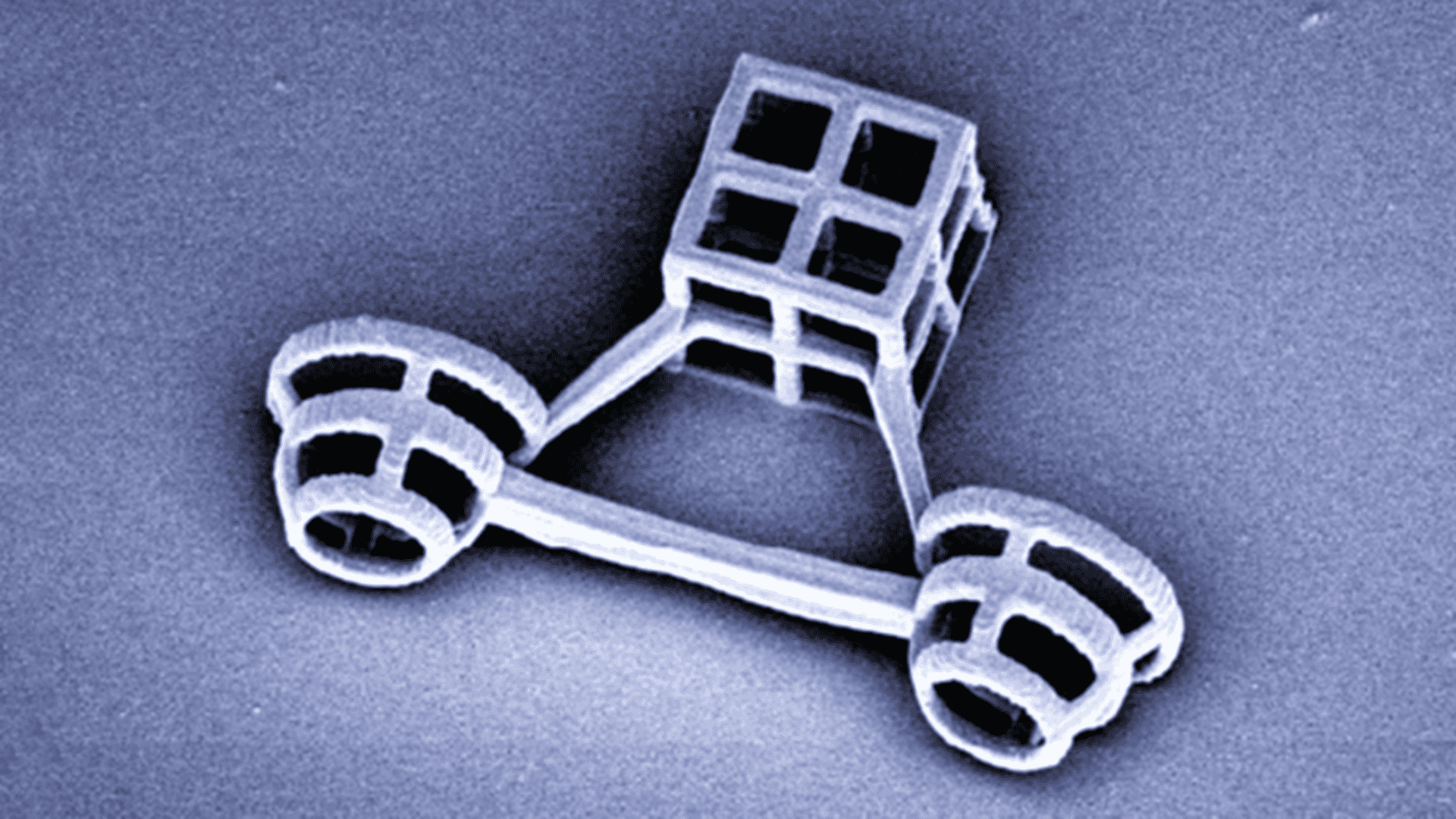 scooter_microscopico-1920x1080.png