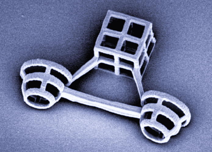scooter_microscopico-695x500.png
