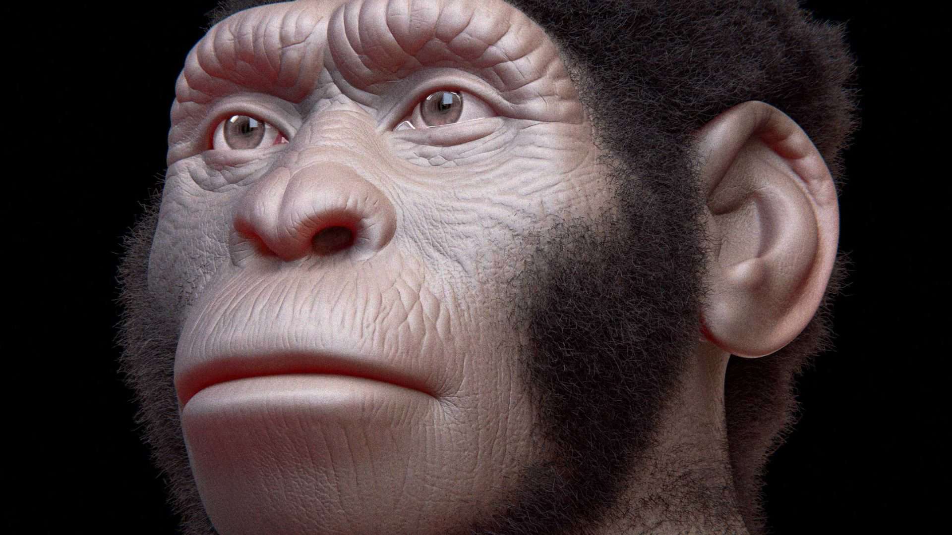 Reconstrução facial 3D do Homo naledi