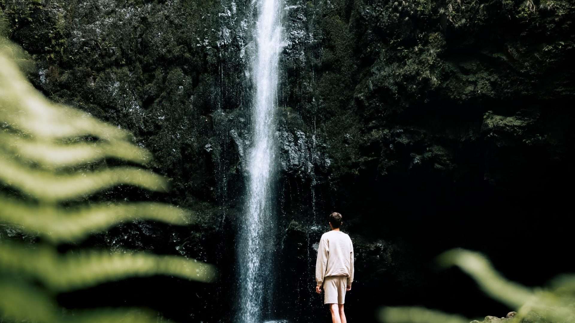 Meio-ambiente-1920x1080