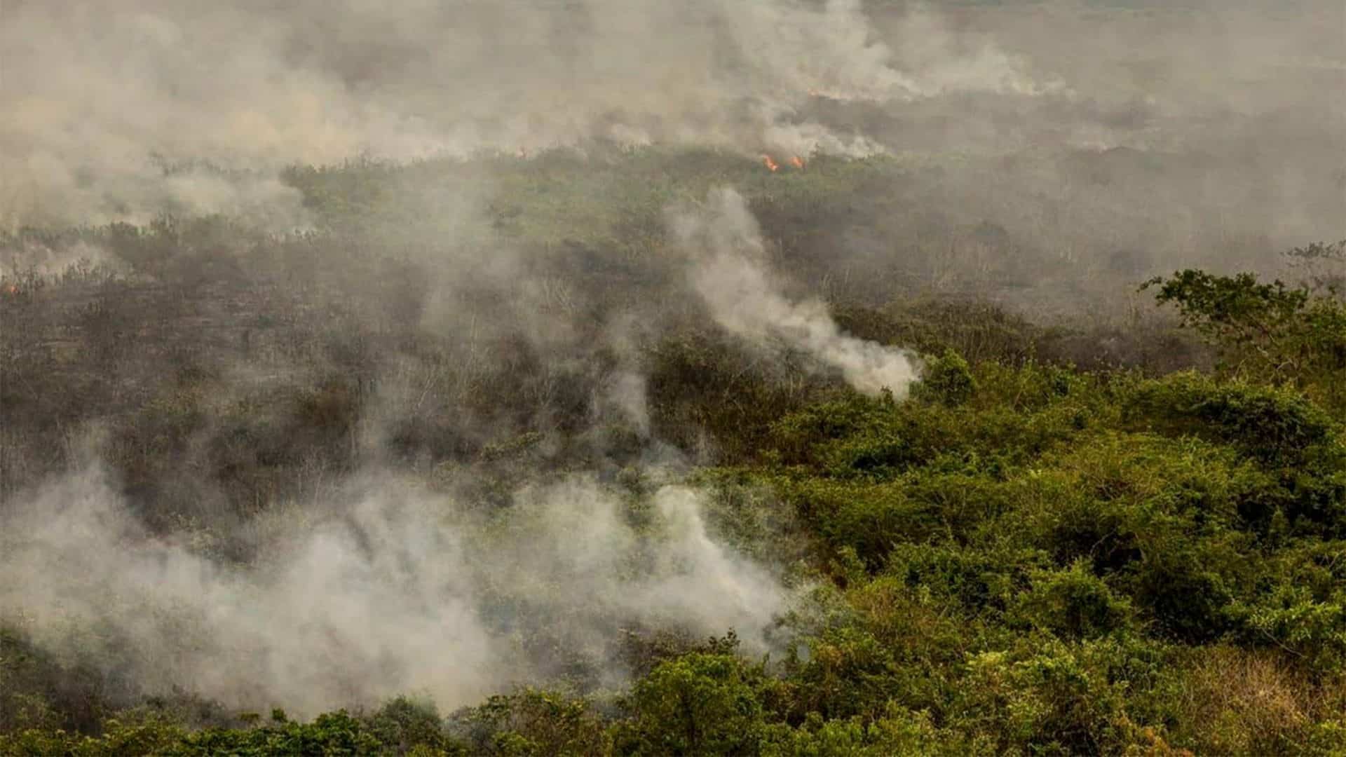 Queimadas via Marcelo Camargo/Agência Brasil