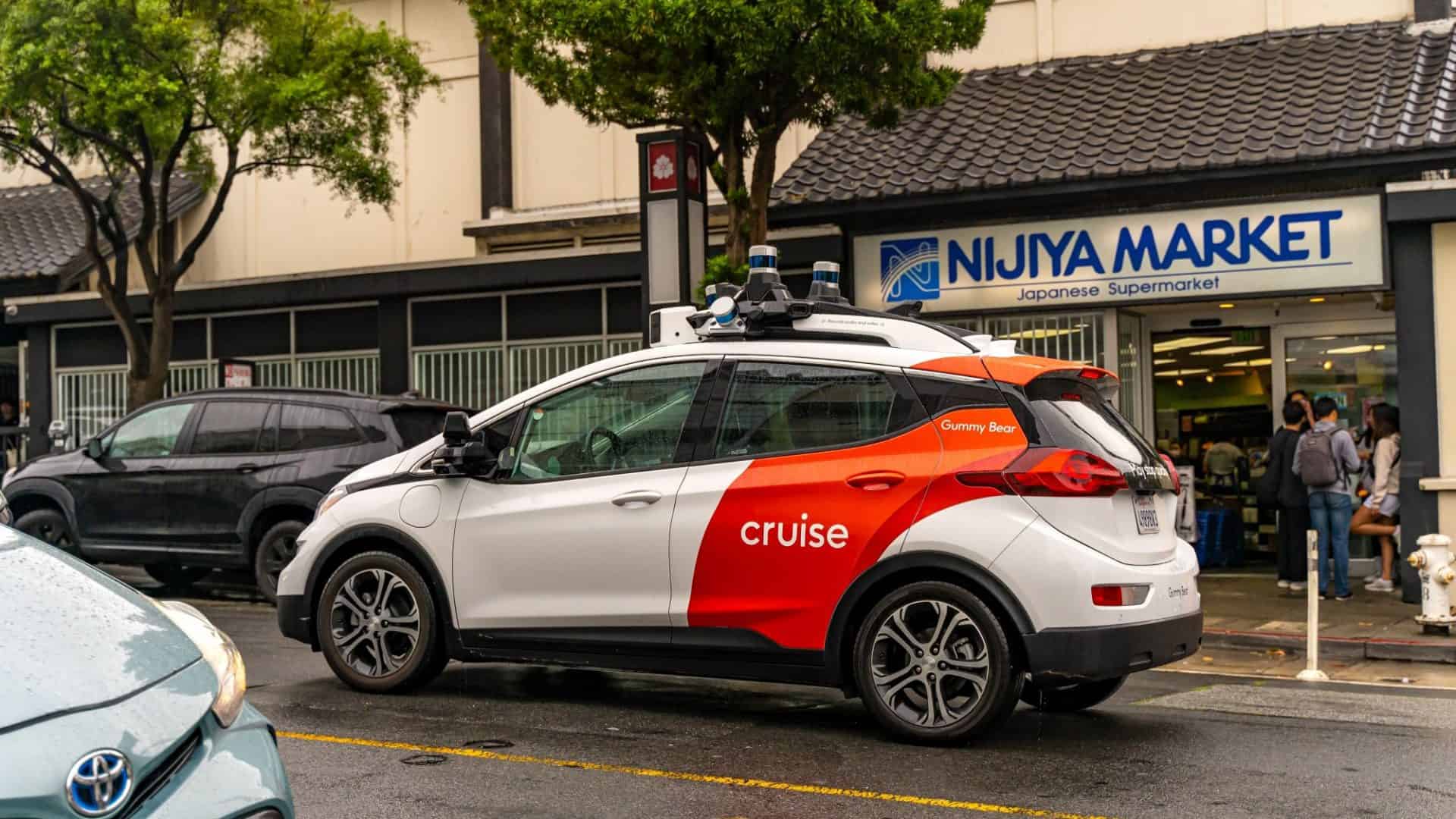 cruise