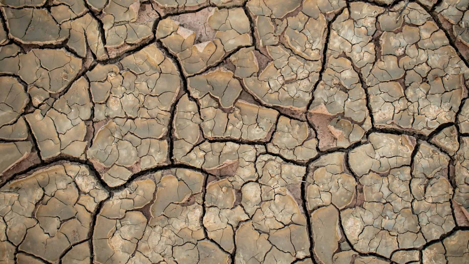 desertificacao-1-1920x1080