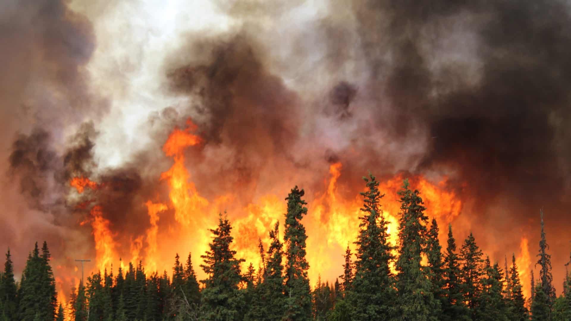 incendio-florestal-1-1920x1080